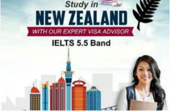 Study in New Zealand